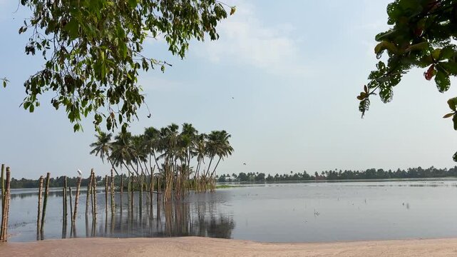 Tropical coconut trees on a small island surrounded by calm waters in the Kerala backwaters, showcasing the serene beauty of South India&rsquo;s coastal landscape