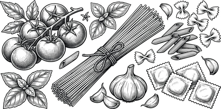 Italian Pasta and Ingredients Hand Drawn Engraving Style Illustration featuring Spaghetti Vine Tomatoes Garlic Penne Farfalle Ravioli and Basil Leaves for Restaurant Menu Layouts