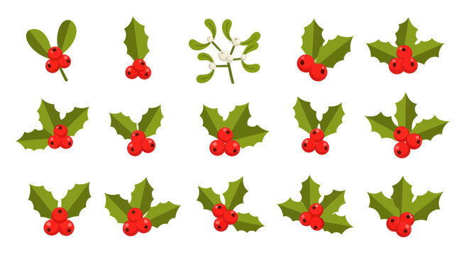 Christmas holly and mistletoe icons set with red and white berries