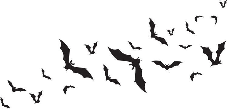 Flock of flying bats silhouette
