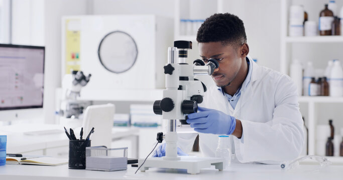 Scientist, microscope and exam with black man in lab for forensic research or medical study. Male person, microbiologist or inspection with biotechnology for science, test results or clinical trial