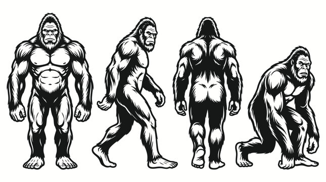 Vintage style illustration of Bigfoot in different poses.