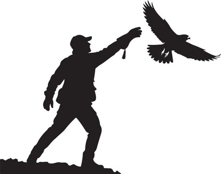 Falconer man silhouette with bird of prey flying falconer silhouette predator wildlife training activity tradition interaction