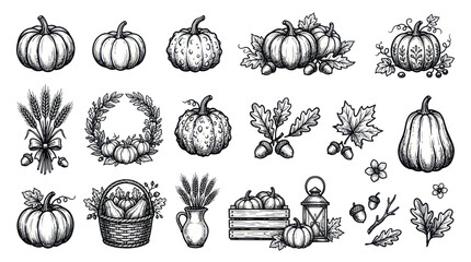 Harvest autumn collection with pumpkins leaves and acorns © Dudung