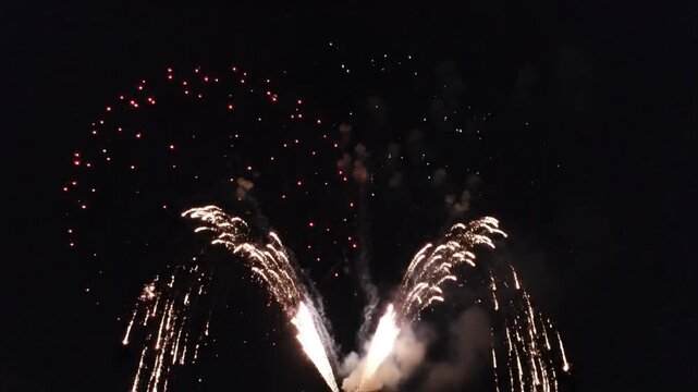 Fireworks explode in night sky with vibrant colors and patterns