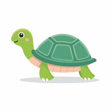 Cute Cartoon Turtle Illustration