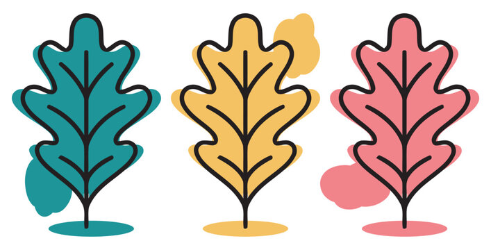 Three colorful abstract oak leaves with black outlines and soft shadows on transparent background