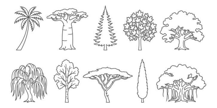 Set of 10 different trees in outline style