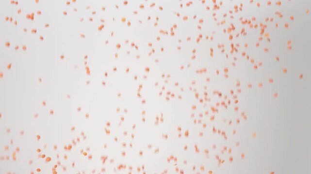 Dried raw Red Lentils raining down on a white backdrop in slow motion close up macro.
