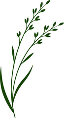 Fototapeta premium Green grass silhouette vector illustration. flax,