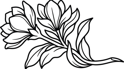Black and white line of blooming magnolia flowers and leaves blossom botanical © Graphic Shops