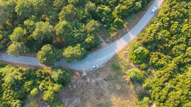 Aerial view of cars driving on a winding forest road