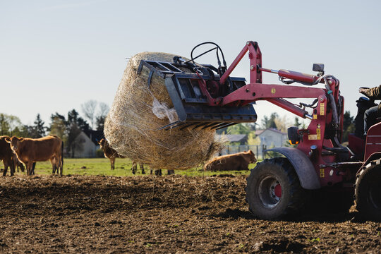 Bauer setzt Strohballen f&uuml;r F&uuml;tterung
