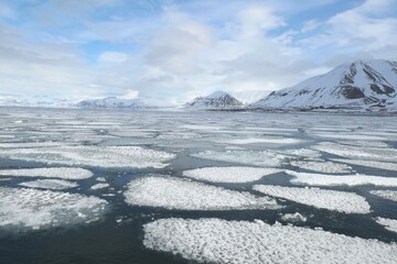 Floating Sea Ice in Arctic Waters of Svalbard, Norway © Sjoerd