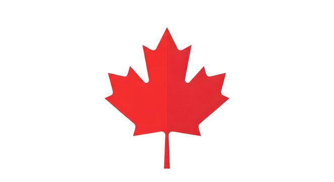 Vibrant red canadian maple leaf isolated on white national symbol of canada