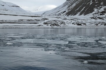 Floating Sea Ice in Remote Arctic Fjord of Svalbard, Norway © Sjoerd