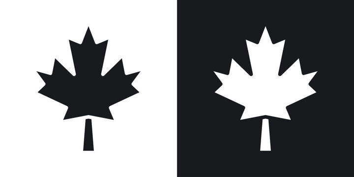 Autumn leaf canadian icon