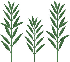 Fototapeta premium Green olive branches and rosemary sprigs collection set with fresh aromatic leaves isolated on white background vector