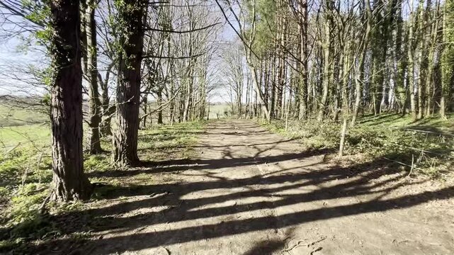 Biggin Hill - A Woodland Walk To The Field