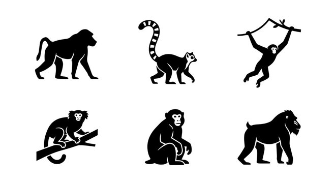 Monkey icon set silhouette, white background, vector illustration