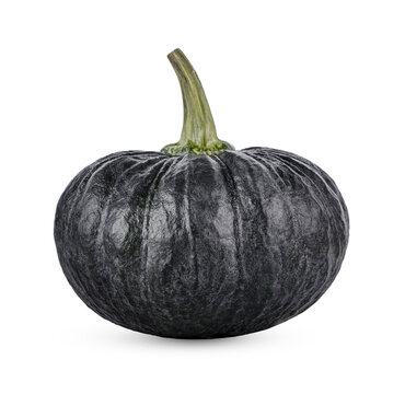 Pumpkin isolated on white background