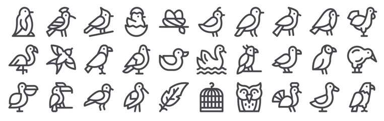 Pack of 30 linear Birds web icons such as penguin, flamingo, pelican, hoopoe, swallow. Editable vector stroke symbols © Noah