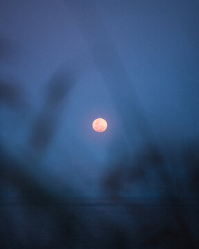 Moonlight