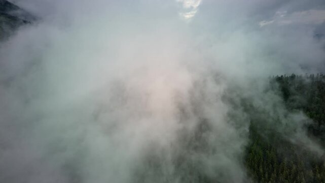 Aerial hyperlapse backward flight over dense fog evaporating above a forest after rain