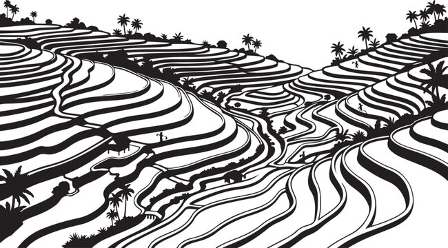 Black and white silhouette graphic of terraced rice fields on a steep tropical hillside with landscape silhouette mountain agriculture