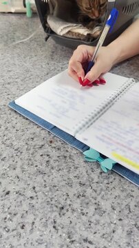 Woman Writing Notes at Table Beside Pet Carrier