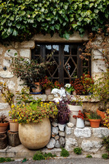 Fototapeta premium Stone house window decorated with colorful flowers and green ivy