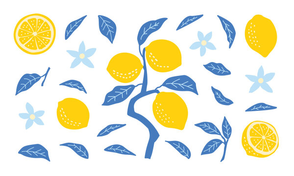 Cute Lemon Botanical Flat Illustration for Summer Kitchen Decor Aesthetic Clipart