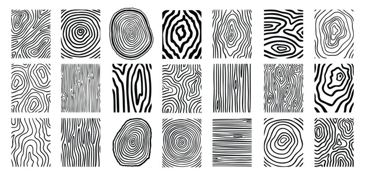 Wood lines texture material doodle hand drawn line set. Rings and circles tree trunk geometric curve, wave contour. 