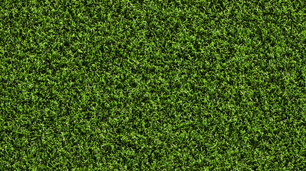 Obraz premium Seamless Tileable Lawn Grass Surface Texture Flat