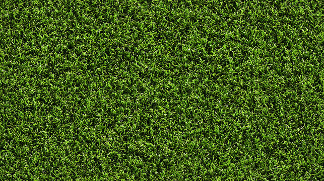 Seamless Tileable Lawn Grass Surface Texture Flat