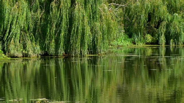 River Avon Stoneligh Abbey Stately Home Warwickshire England UK