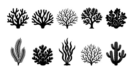 Coral Reef Silhouettes Vector Set, Marine Life Icons, Underwater Flora Graphics, Ocean Ecosystem Elements, Black and White © Shaila