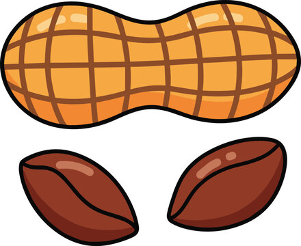 Raw peanuts vector illustration set with textured whole nutshell and organic seed kernels for healthy snack design
