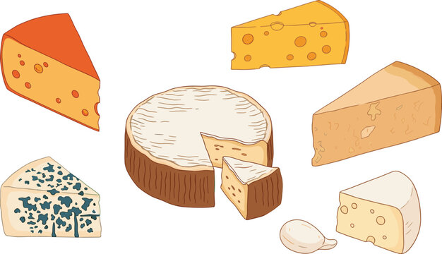 Gourmet cheese varieties vector collection with swiss wedge, blue cheese mold, parmesan chunk, brie wheel, and organic dairy food elements 