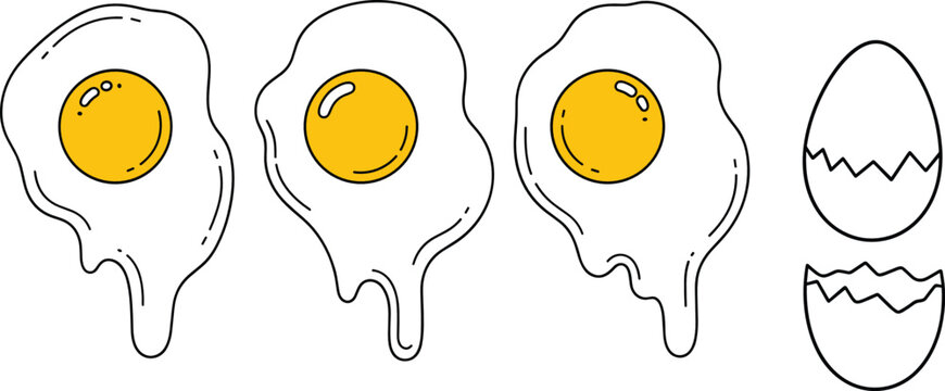 Fried eggs vector set with sunny side up yolk details alongside cracked empty eggshell line art elements for breakfast food design.