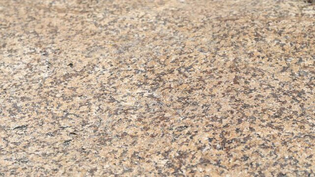 Detailed horizontal camera movement highlighting the rough texture and natural erosion patterns of exposed granite rock under bright sunlight.