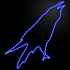 Fototapeta premium Neon illustration of crow in blue glowing outline on a black background.