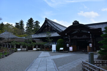 Fototapeta premium 奈良県 桜井市の長谷寺～花の御寺（春）
