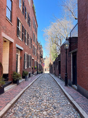 Fototapeta premium Acorn Street, a historic cobblestone lane lined with red brick row houses, showcases the timeless charm of Boston's Beacon Hill neighborhood.