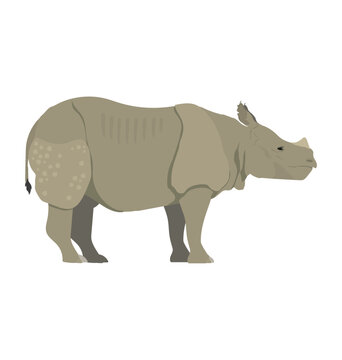 Adult Javan Lesser one-horned rhinoceros in side view flat vector icon