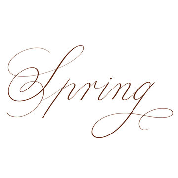 &ldquo;Spring&rdquo; in copperplate calligraphy with flourishing. Handwritten. Transparent background.