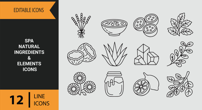 Spa Natural Ingredients Botanicals Herbs and Wellness Outline Icons