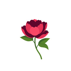 Obraz premium Red Rose Flower Icon Vector Illustration, Isolated Transparent Background for Web Design and App Interface Use