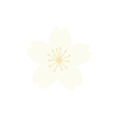 Fototapeta premium White Cherry Blossom Flower Icon, Isolated Vector Illustration with Transparent Background for Spring Design and Floral Branding