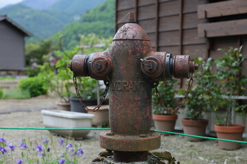 Fototapeta premium An old rusty fire hydrant stands in a rural village garden.